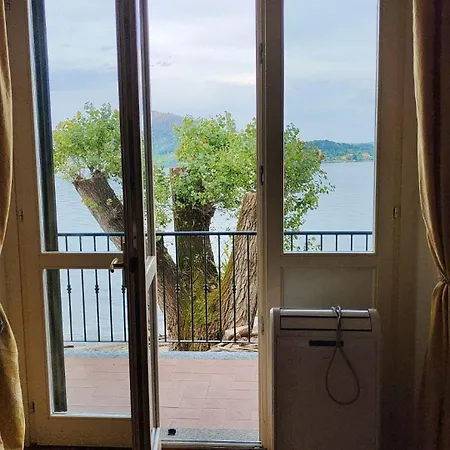 Scarlet Flower - Maggiore