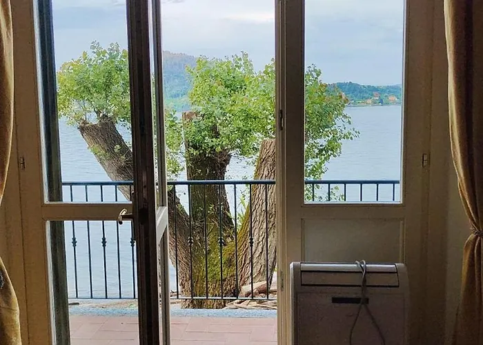 Scarlet Flower - Maggiore