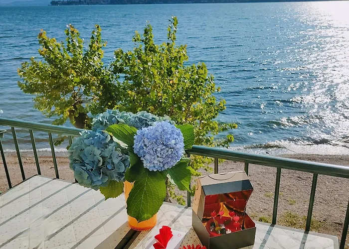 Scarlet Flower - Maggiore *