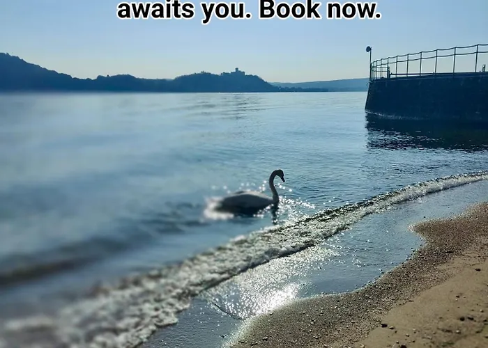 아파트 Scarlet Flower - Maggiore