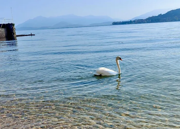 Scarlet Flower - Maggiore Apartament *